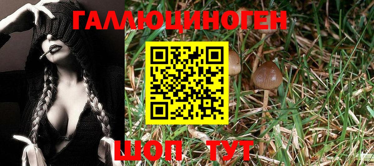 Псилоцибиновые грибы Cubensis Ханты-Мансийск